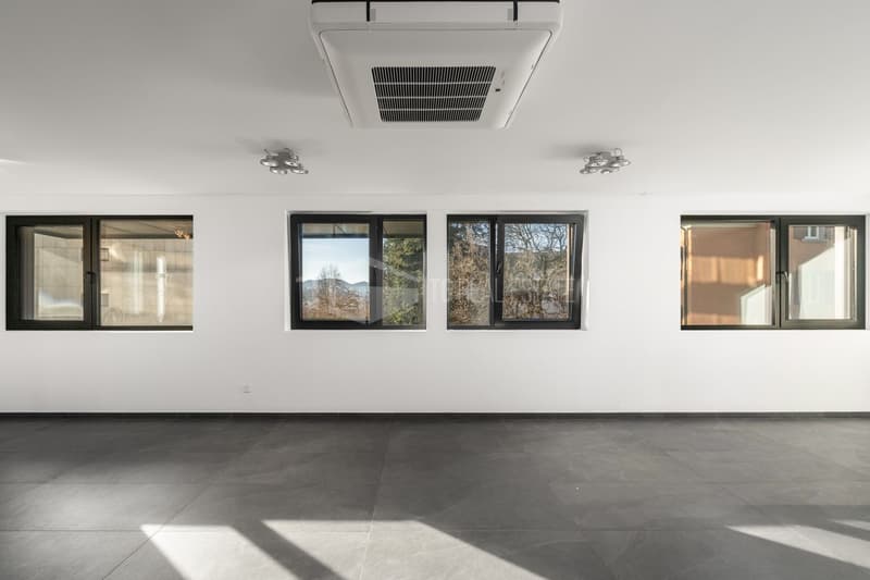 HOCHWERTIGES BÜRO IN ZEITGENÖSSISCHER RESIDENZ (11)