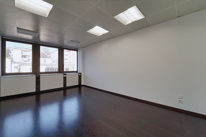 BÜRO IM FINANZIELLEN HERZEN DES PARADIESES (4)