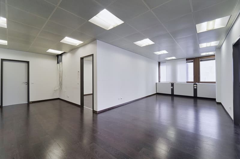 BÜRO IM FINANZIELLEN HERZEN DES PARADIESES (2)
