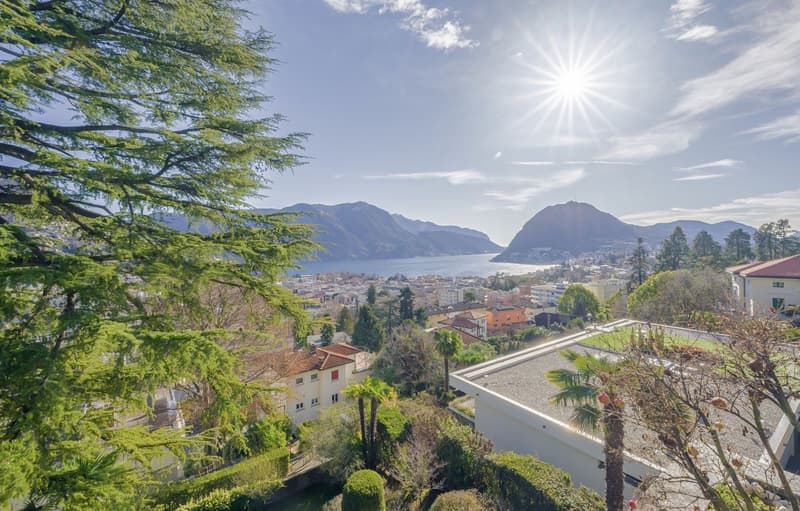 ATTICO DI 5.5 LOCALI CON VISTA LAGO (1)