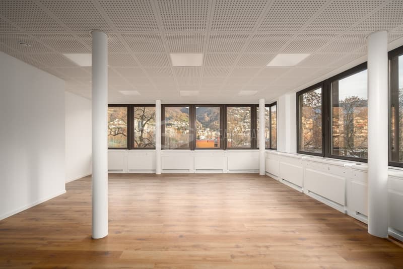MODERNES 7-ZIMMER-BÜRO IN MOLINO NUOVO (1)