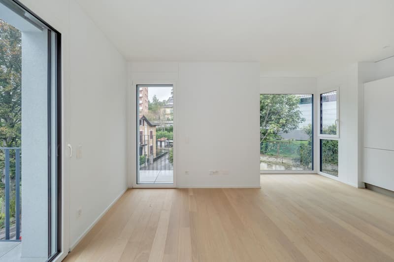 NEUE 2,5-ZIMMER-WOHNUNG (4)