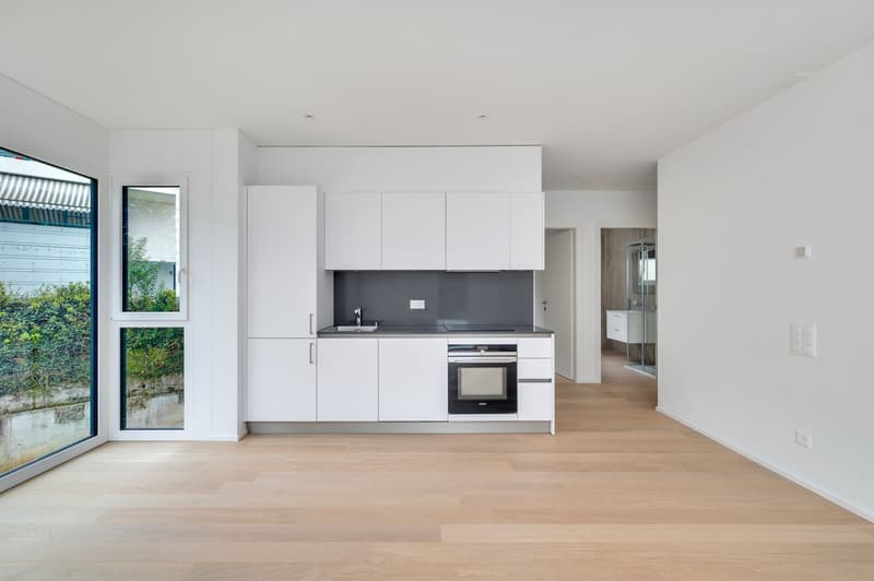 NEUE 2,5-ZIMMER-WOHNUNG (1)