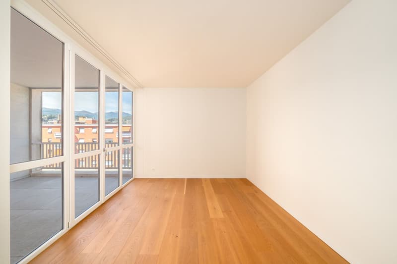 BELLISSIMO DUPLEX IN POSIZIONE STRATEGICA (18)