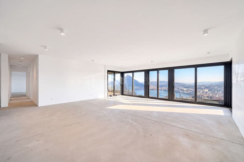 Neue geräumige 4.5-Wohnung mit Seeblick und Garten (2)