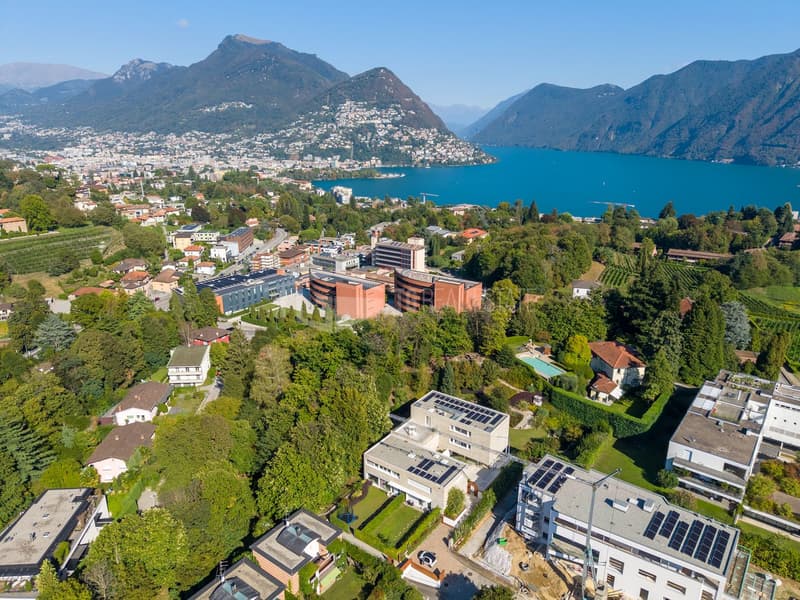 LUSSUOSA VILLA CON PISCINA E GIARDINO VICINO ALLA TASIS (40)