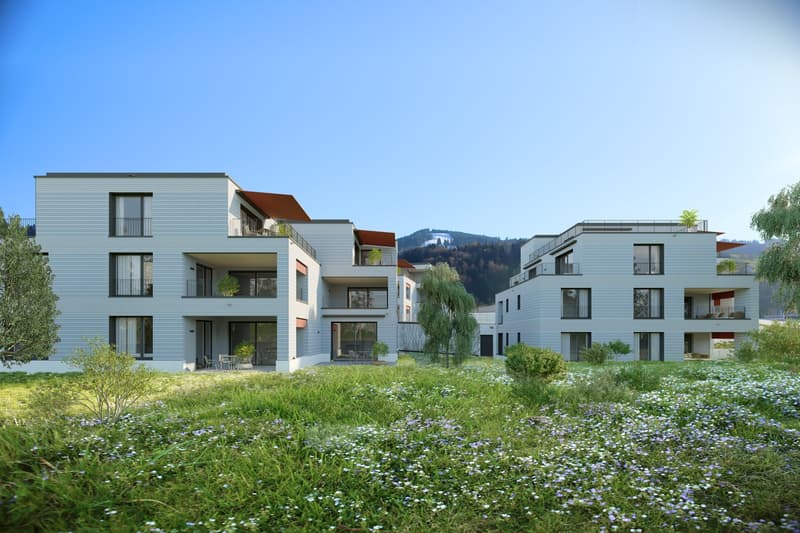 Exklusives Wohnen am Zürichsee – moderne 2.5-Zimmerwohnung im EG zu vermieten (1)