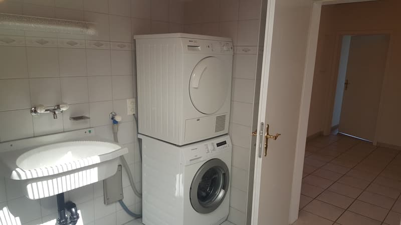 Grosszügige 4.5-Zimmer-Wohnung an zentraler Lage in Lachen (8)