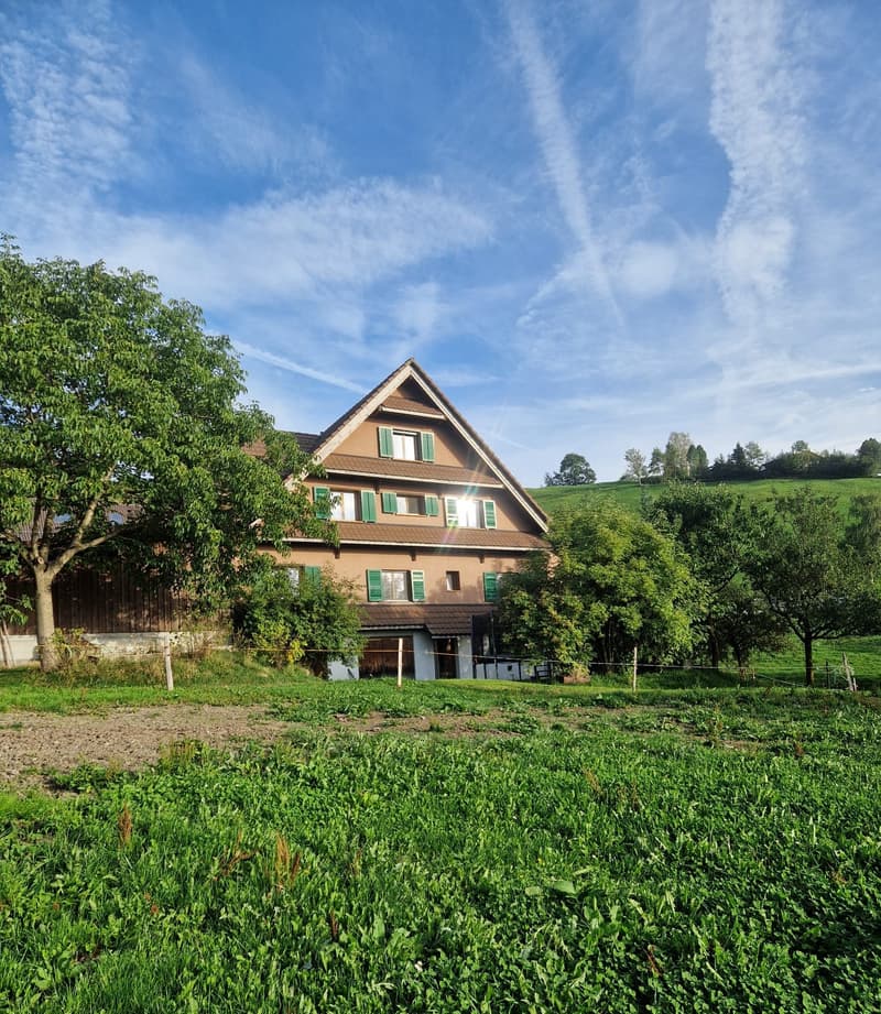 Charmante 2-Zimmer-Dachwohnung im Bauernhaus (1)