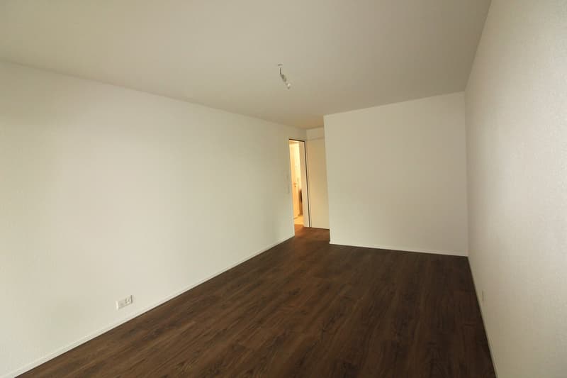 3.5-Zimmerwohnung - Wohnen mit höchstem Komfort im Steuergünstigen Wollerau (3)