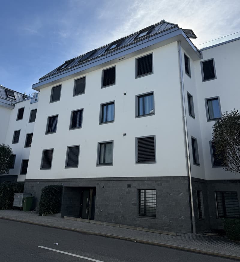 Moderne 3.5-Zimmer-Wohnung im Erdgeschoss an zentraler Lage in Siebnen (1)