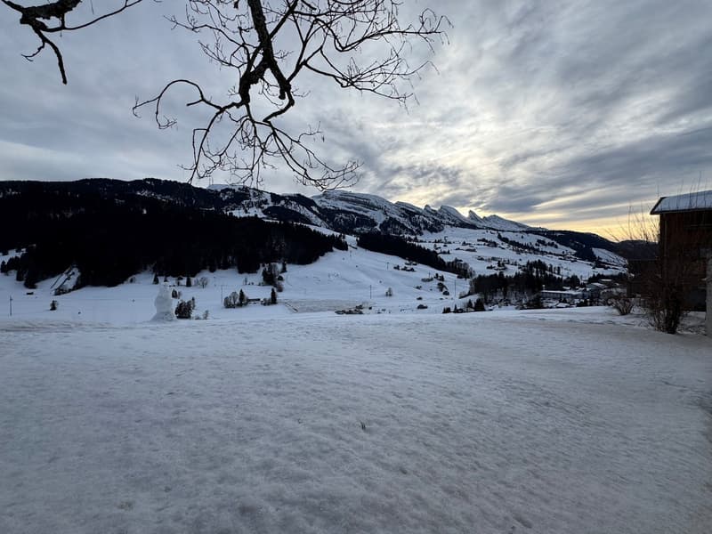 snowy mountains with pine trees, ski slopes, small houses, village, clear sky