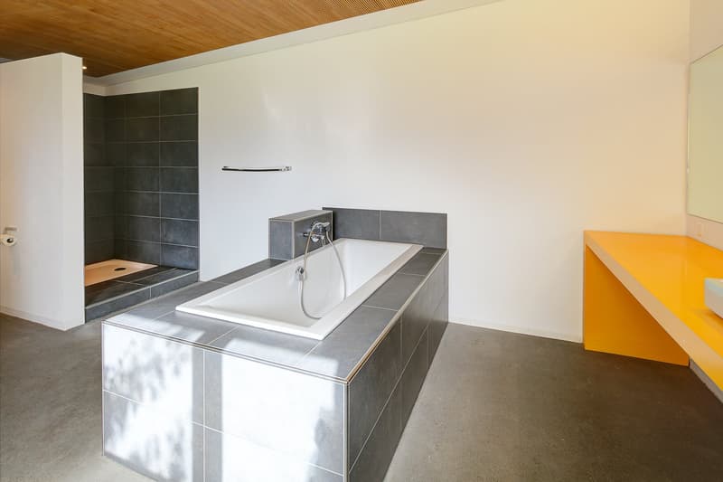 Bathroom: walk-in shower, bathtub, modern tile design, wooden ceiling