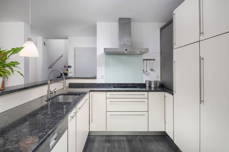 modern kitchen, granite countertop, stainless steel appliances, sink with faucet, white cabinets, potted plant