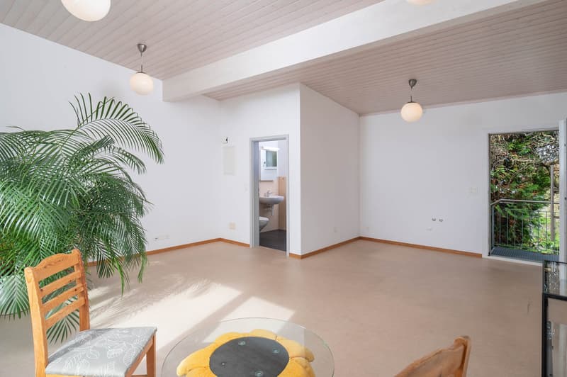 Haus mit vielen Nutzungsmöglichkeiten (15)