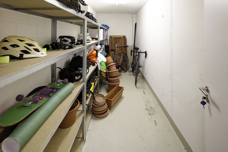 Charmante 4.5 Zimmer-Dachwohnung (17)