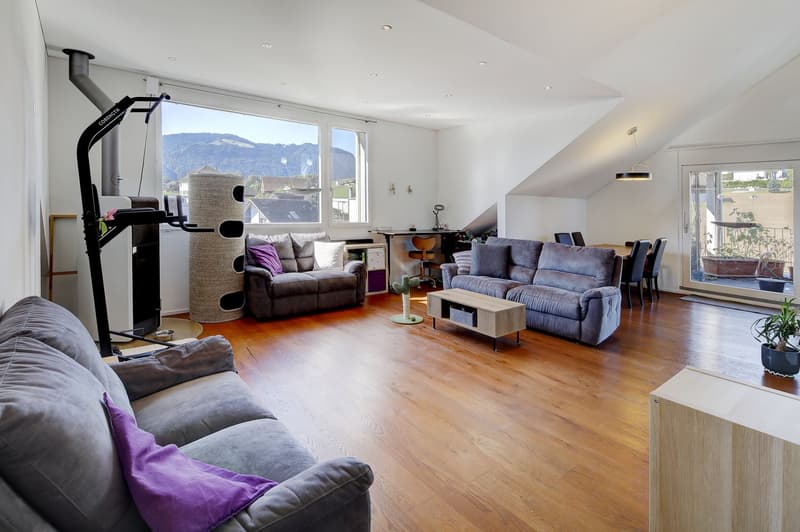Charmante 4.5 Zimmer-Dachwohnung (2)