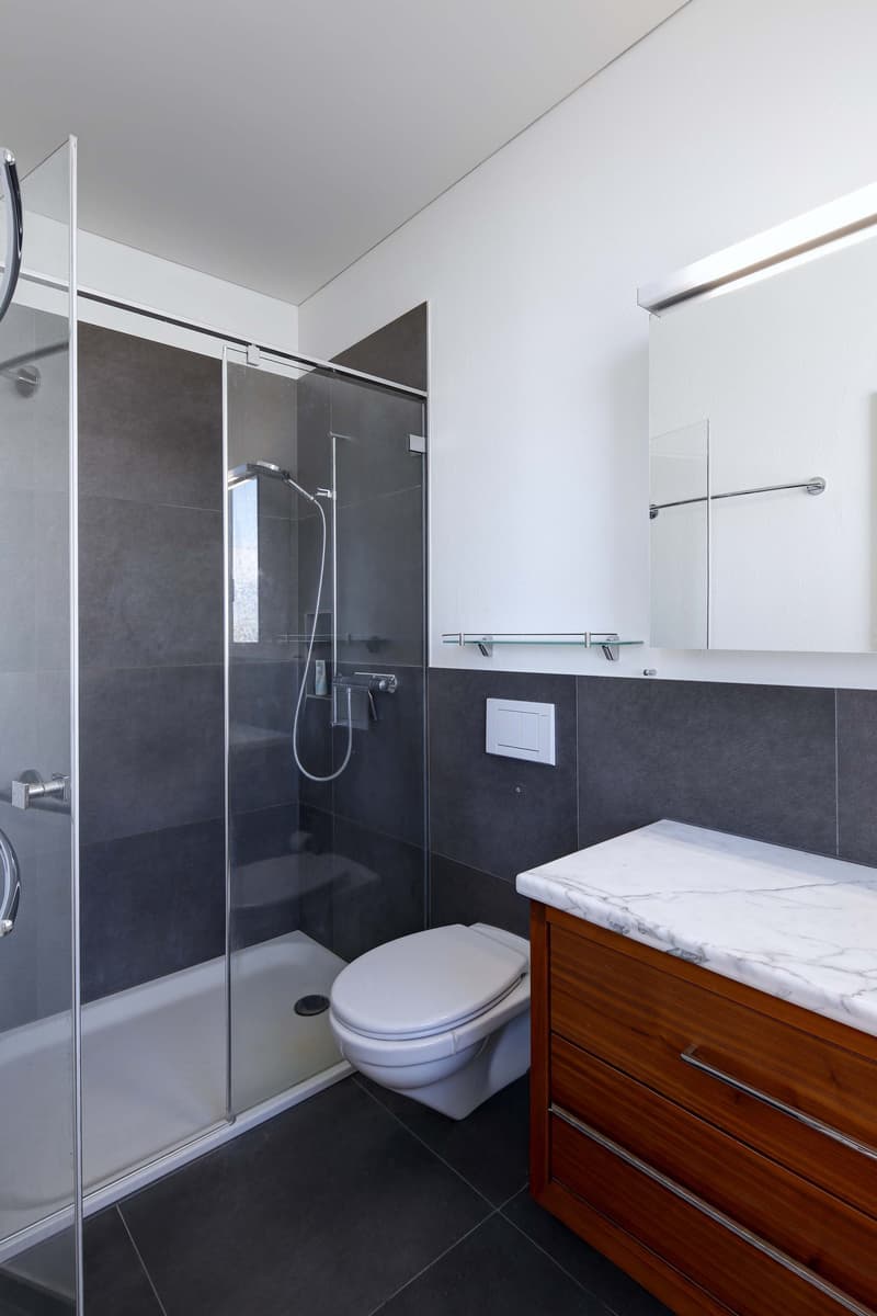 Charmante 4.5 Zimmer-Dachwohnung (10)