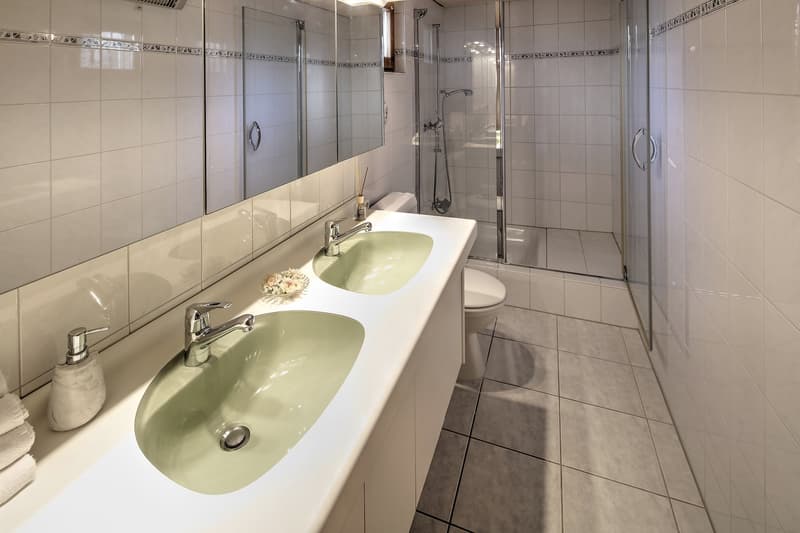 5.5 Zimmer-EFH mit Einliegerwohnung (22)