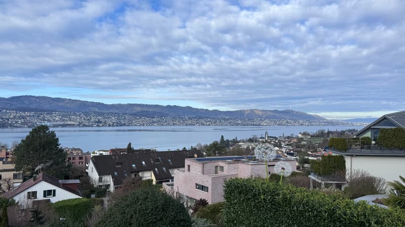8.5-Zimmer-Einfamilienhaus mit Seesicht in Erlenbach ZH (1)