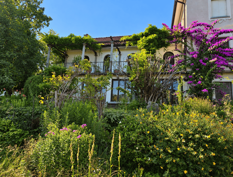 Villa Panorama mit Gästehaus und Traumseesicht (3)