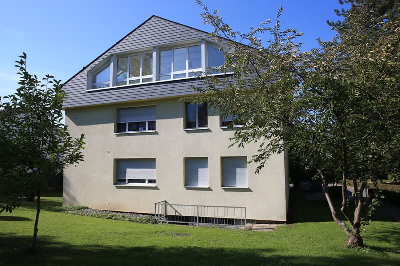 Helle 4.5 Zimmerwohnung in Therwil (1)
