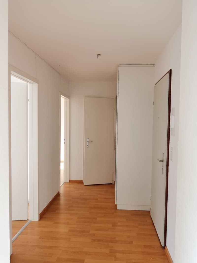 Helle 4.5 Zimmerwohnung in Therwil (7)