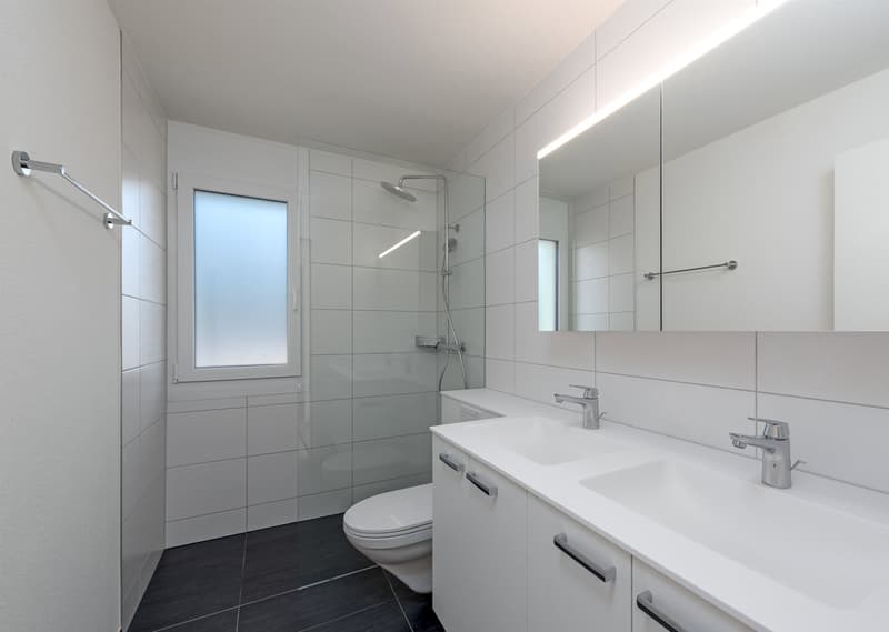 Neu sanierte Wohnung mit Blick ins Grüne zu vermieten (5)