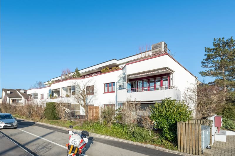 Neu sanierte Wohnung mit Blick ins Grüne zu vermieten (1)