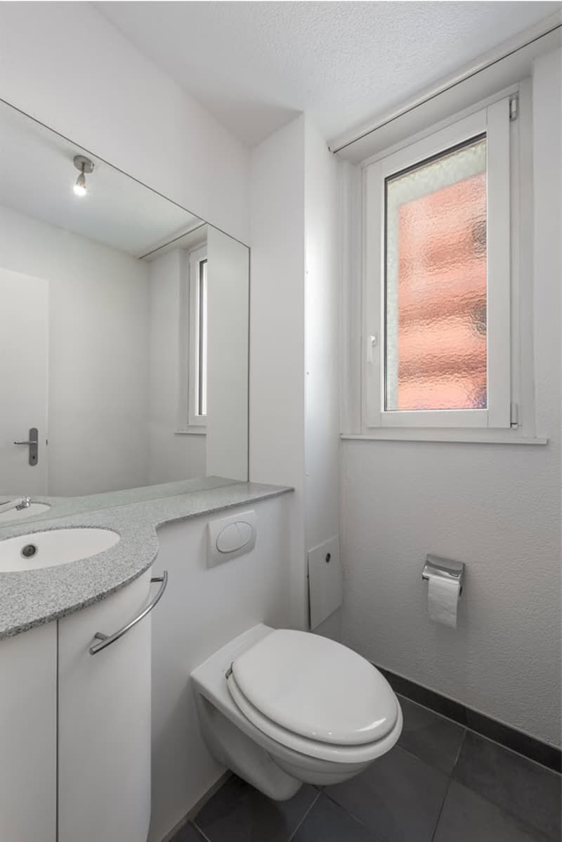 Schöne und helle 4.5 Zimmerwohnung in Binningen (6)