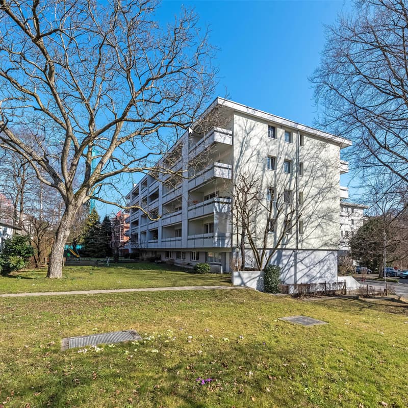 Schöne und helle 4.5 Zimmerwohnung in Binningen (1)