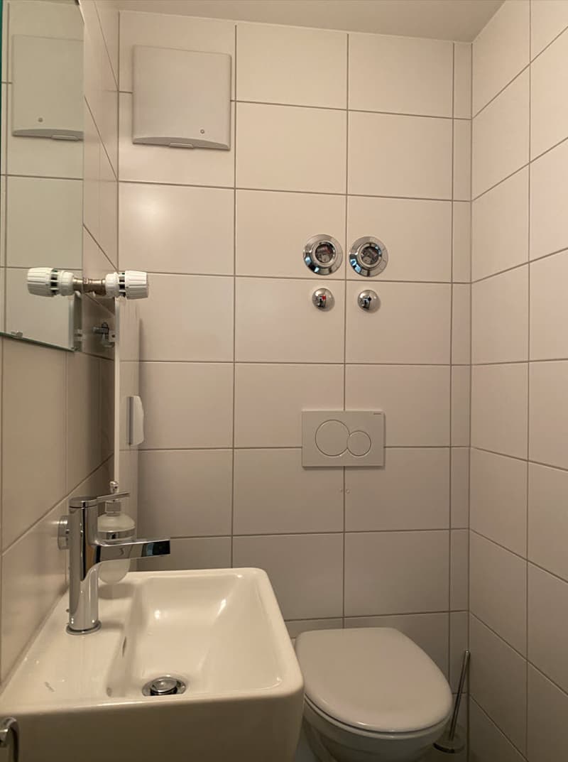 1.5 Zimmerwohnung in gepflegtem Mehrfamilienhaus zu vermieten (7)