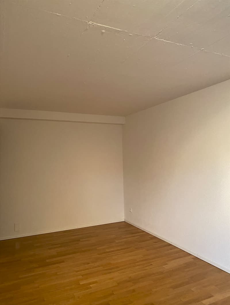 1.5 Zimmerwohnung in gepflegtem Mehrfamilienhaus zu vermieten (9)