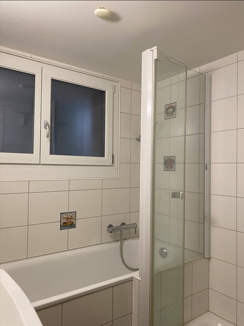 1.5 Zimmerwohnung in gepflegtem Mehrfamilienhaus zu vermieten (6)