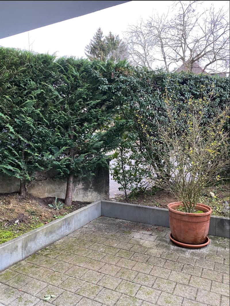 1.5 Zimmerwohnung in gepflegtem Mehrfamilienhaus zu vermieten (10)