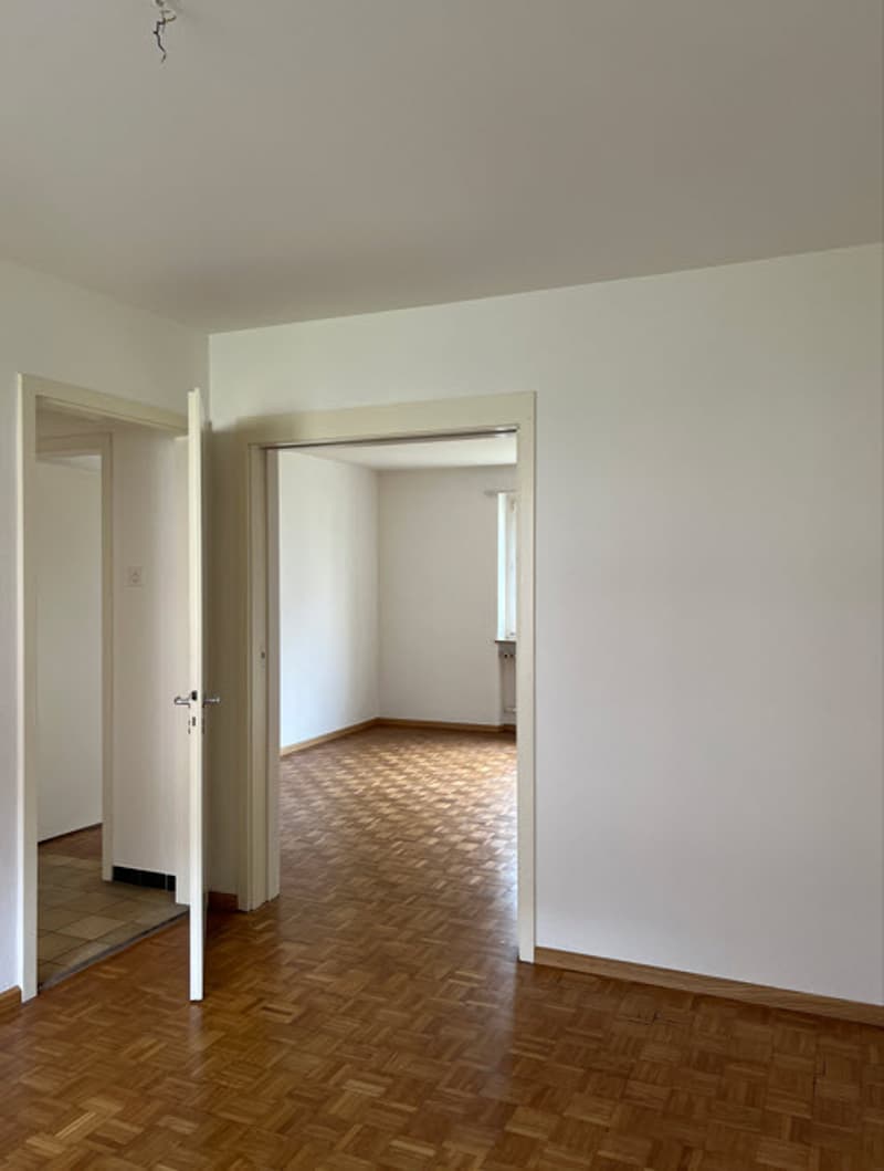 Charmante Wohnung in Muttenz zu vermieten (10)