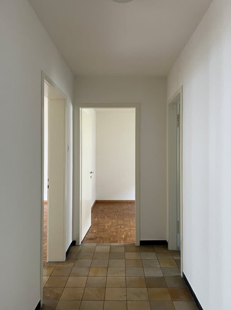 Charmante Wohnung in Muttenz zu vermieten (11)
