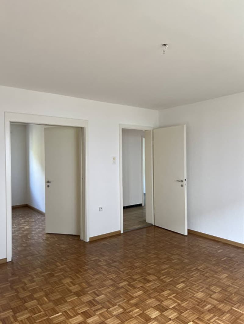 Charmante Wohnung in Muttenz zu vermieten (6)