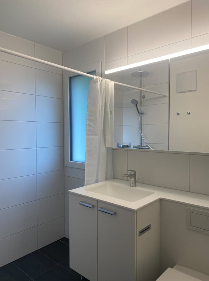 Neu sanierte Wohnung mit Blick ins Grüne zu vermieten (6)