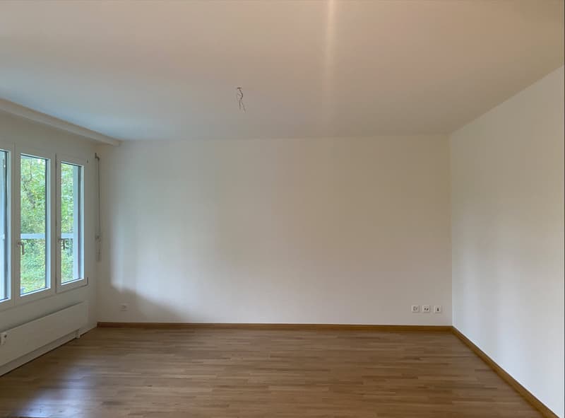Neu sanierte Wohnung mit Blick ins Grüne zu vermieten (5)