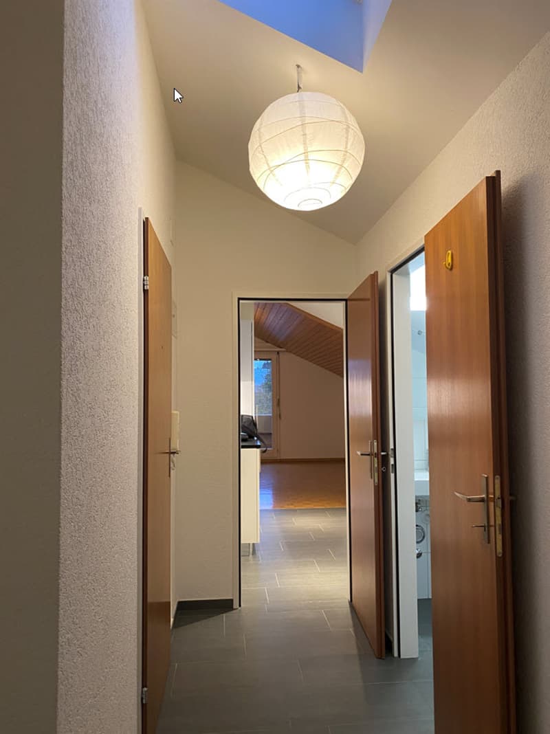 Top sanierte, gemütliche 2.0 Zimmer-Dachwohnung - ruhig gelegen (11)
