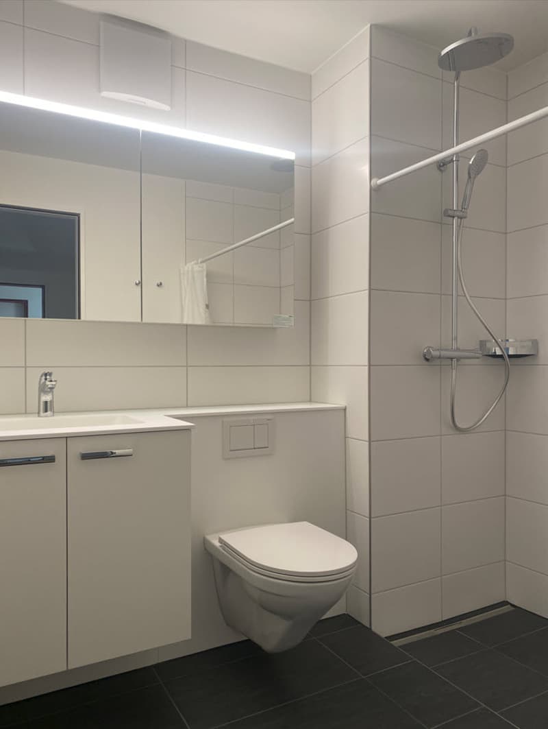 Neu sanierte Wohnung mit Blick ins Grüne zu vermieten (5)