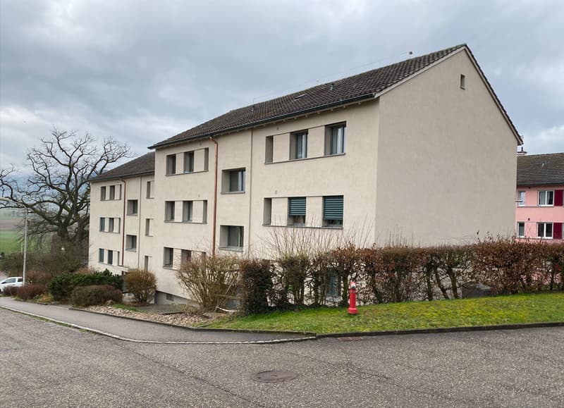Grosszügige 3.0 Zimmerwohnung im Laufental (2)