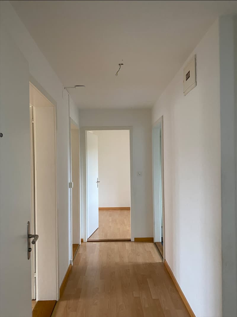 Grosszügige 3.0 Zimmerwohnung im Laufental (8)