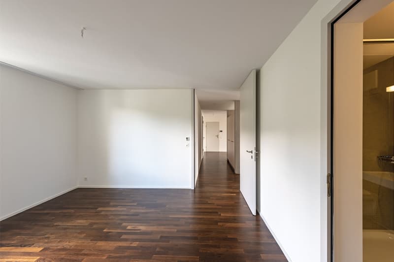 Moderne 2.5 Zimmerwohnung an top Lage (8)