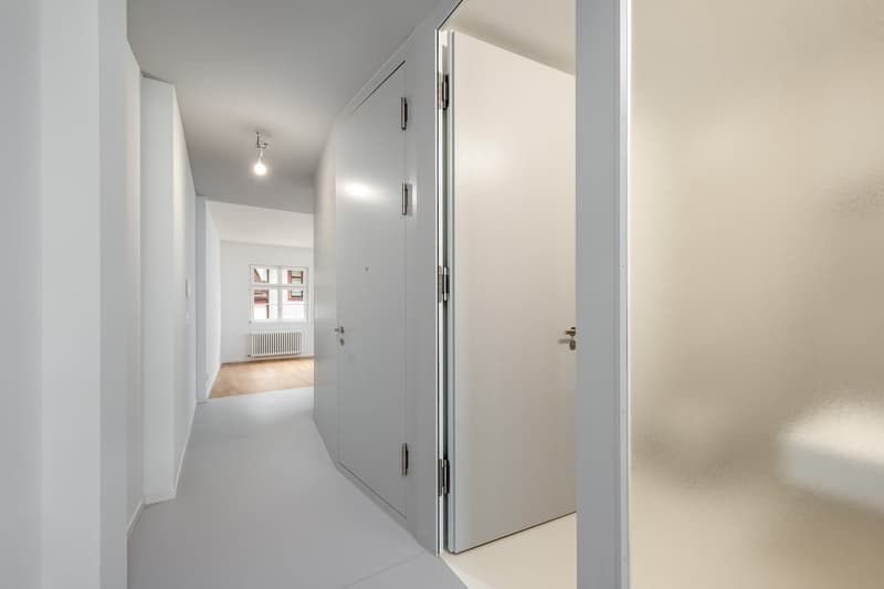 Moderne, sanierte 2.0 Zimmerwohnung am Spalenberg in Basel (5)