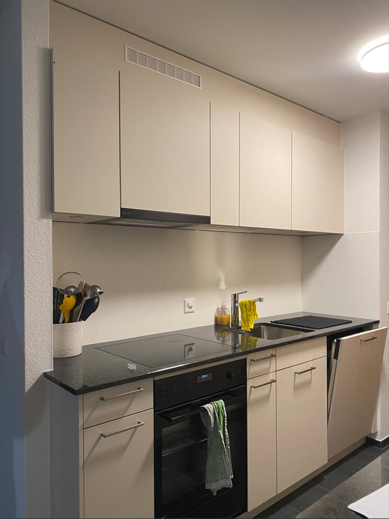 Neu sanierte Wohnung mit Blick ins Grüne zu vermieten (2)