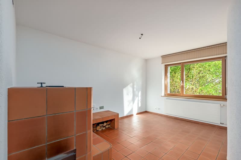 Charmantes 4-Zimmer-Einfamilienhaus an ruhiger Lage in Basel (11)