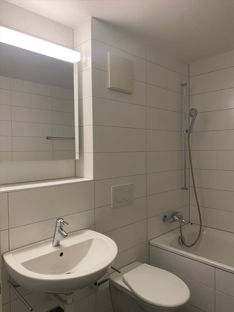 Helle und grosszügige 3.0 Zimmerwohnung an zentraler Lage in Allschwil (4)