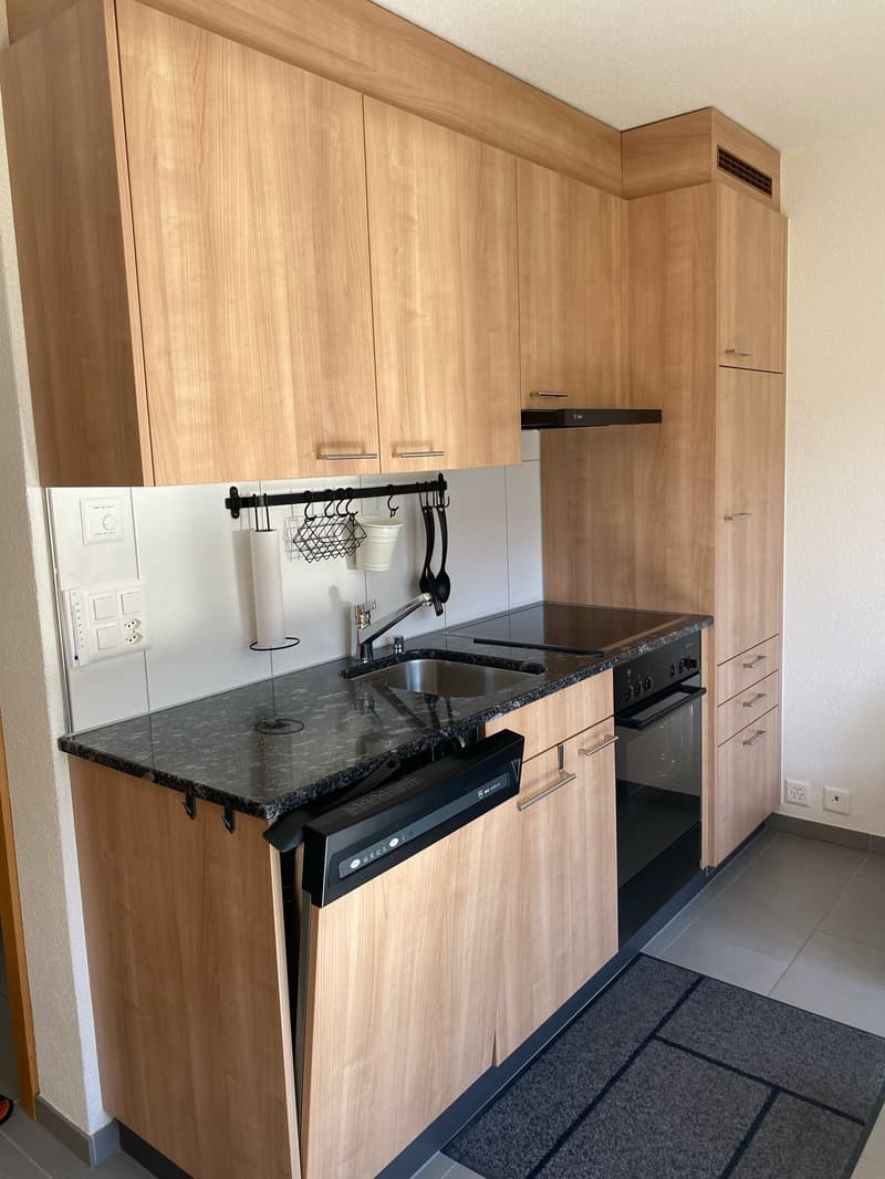 Charmante 2-Zimmer-FERIEN-Wohnung in Adelboden mit herrlicher Aussicht (6)